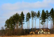 Urlaub im Ferienhaus: Hygge in Vejers, Dänemark
