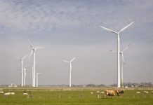 Erneuerbare Energien für Krankenhäuser